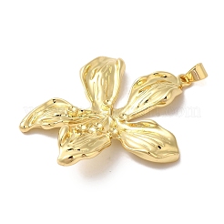 Rack Plating Brass & Cubic Zirconia Pendants&nbsp;KK-L216-068G