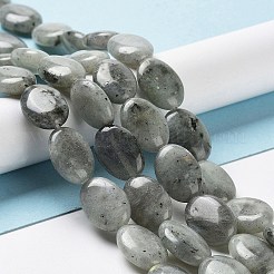 Natural Labradorite Beads Strands&nbsp;G-L164-A-34