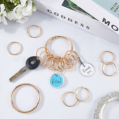Iron Keychain Clasps&nbsp;FIND-SP0003-72G