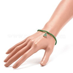 6Pcs 6 Style Glass Seed Stretch Bracelets Set&nbsp;BJEW-JB08201