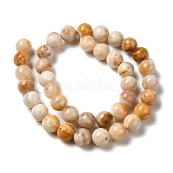Natural Crazy Lace Agate Beads Strands&nbsp;G-H298-A12-04