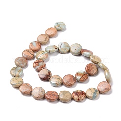 Natural Aqua Terra Jasper Beads Strands&nbsp;G-E572-02
