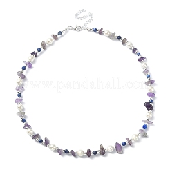 Natural Amethyst & Lapis Lazuli Chips & Shell Pearl Beaded Necklace for Women&nbsp;NJEW-TA00127
