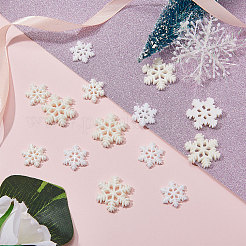 Resin Opaque Cabochons&nbsp;CRES-CJ0001-01