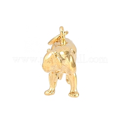 Brass Pendants&nbsp;KK-CBA855A-01G-03