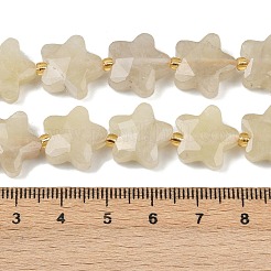 Natural Lemon Quartz(Heated) Beads Strands&nbsp;G-P573-C12-01