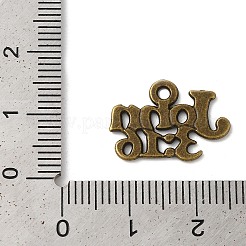 Tibetan Style Alloy Pendants&nbsp;EA9098Y-AB