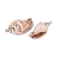Electroplated Golden Brass Trim Natural Spiral Shell Pendants&nbsp;SSHEL-N042-27