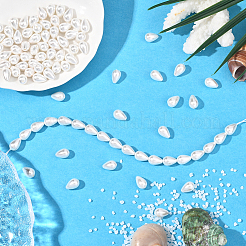 2 Strands Polished Shell Pearl Beads Strands&nbsp;BSHE-PA0001-03