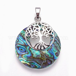 Natural Paua Shell Pendants&nbsp;G-F573-D04