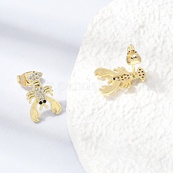 Brass Micro Pave Cubic Zirconia Stud Earrings&nbsp;KK-CBA5B62-06G
