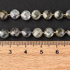 Natural Labradorite Beads Strands&nbsp;G-K389-B66-01