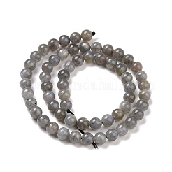 Natural Labradorite Bead Strands&nbsp;G-P259-03-6mm