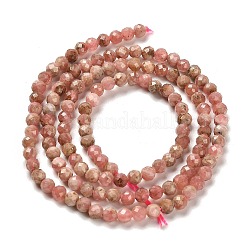 Natural Argentina Rhodonite Beads Strands&nbsp;G-B107-A04-04