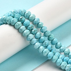 Dyed Natural Howlite Beads Strands&nbsp;G-G023-A01-01A