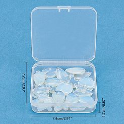 Opalite Pendants&nbsp;G-FH0001-07