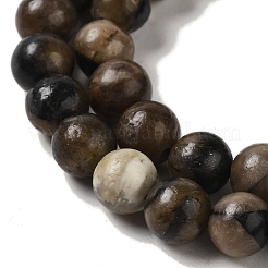 Natural Chiastolite Beads Strands&nbsp;G-Q161-A03-03