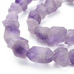 Raw Rough Natural Amethyst Beads Strands&nbsp;G-N0326-028