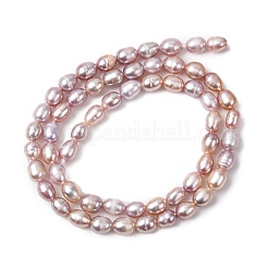 Natural Cultured Freshwater Pearl Beads Strands&nbsp;PEAR-F020-01A