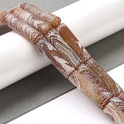 Natural Weathered Agate Beads Strands&nbsp;G-Q169-A04-01