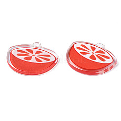 Translucent Acrylic Pendants&nbsp;TACR-N013-006