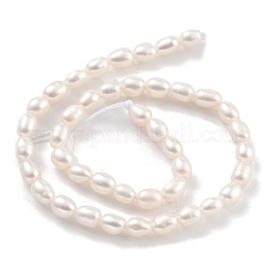 Natural Cultured Freshwater Pearl Beads Strands&nbsp;PEAR-P062-03B