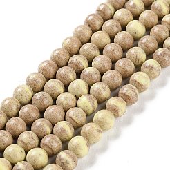 Natural Rainbow Alashan Agate Beads Strands&nbsp;G-NH0022-A-02