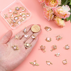 Alloy Resin & Glass Pendants & Chandelier Component Links Findings Kits&nbsp;DIY-PH0034-78