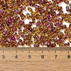 Spray Painted Glass Seed Beads&nbsp;SEED-F005-03A-01