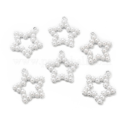 Alloy Pendants&nbsp;PALLOY-E014-01P