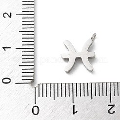 304 Stainless Steel Micro Pave Cubic Zirconia Charms&nbsp;STAS-Z107-09P-05