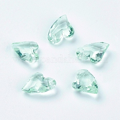 Transparent Acrylic Charms&nbsp;MACR-G055-11mm-M