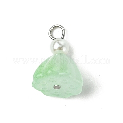 7Pcs Acrylic Charms&nbsp;PALLOY-JF03242