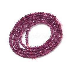Natural Ruby Beads Strands&nbsp;X-G-K366-C09-2mm