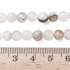 Natural Dendritic Agate Beads Strands&nbsp;G-C011-6mm-01