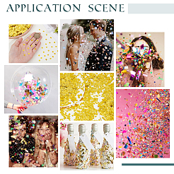 50G PET Plastic Confetti&nbsp;DIY-SC0031-96B