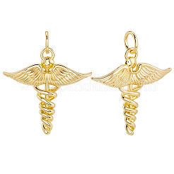 12Pcs Brass Pendants&nbsp;KK-BBC0019-76