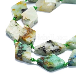 Natural Chrysocolla and Lapis Lazuli Beads Strands&nbsp;G-K245-E05-B02