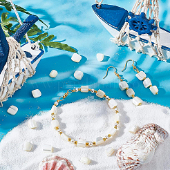 2 Strands Column Natural Trochus Shell Beads Strands&nbsp;BSHE-BC0001-01