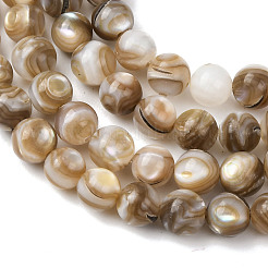 Natural Freshwater Shell Beads Strands&nbsp;SHEL-K006-71A