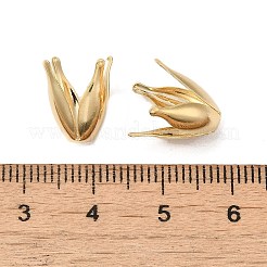 Brass Bead Caps&nbsp;KK-P259-02G