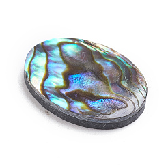 Natural Abalone Shell/Paua Shell Cabochons&nbsp;X-SSHEL-L017-003