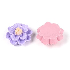 Resin Decoden Cabochons&nbsp;CRES-T025-04M