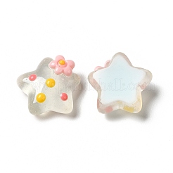 Translucent Resin Cabochons&nbsp;RESI-E034-01D