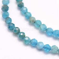 Natural Apatite Beads Strands&nbsp;G-F509-17-4mm