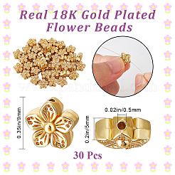 30Pcs Alloy Beads&nbsp;FIND-BBC0003-76