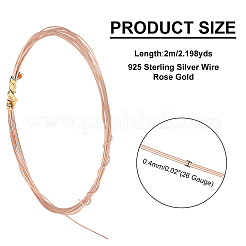 925 Sterling Silver Wire&nbsp;FIND-PH0008-40RG