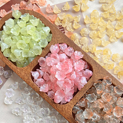6 Colors Handmade Lampwork Beads&nbsp;LAMP-AN0001-01
