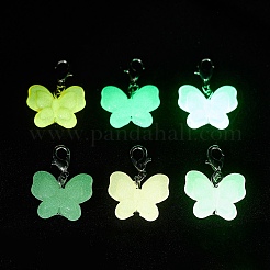 Luminous Acrylic Pendant Decorations&nbsp;HJEW-JM04223