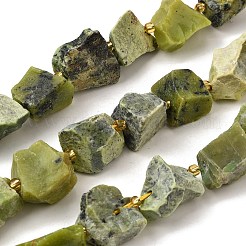 Raw Rough Natural Serpentine Beads Strands&nbsp;G-Z087-B14